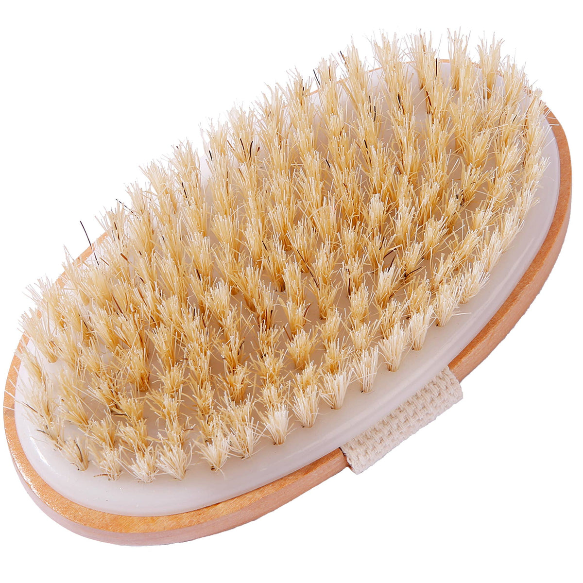Palm Dry Brush