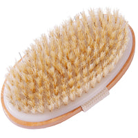 Palm Dry Brush