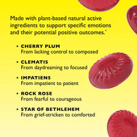 RESCUE Bach PASTILLES, Mixed Berry Flavor, Stress Relief