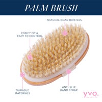 Palm Dry Brush