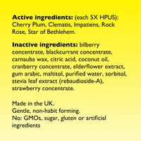 RESCUE Bach PASTILLES, Mixed Berry Flavor, Stress Relief