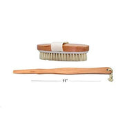 Body Brush with detachable handle