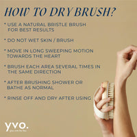 Palm Dry Brush