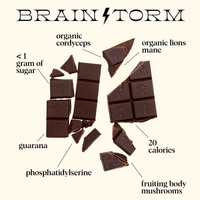 Brainstorm Singles — mushroom chocolates for focus