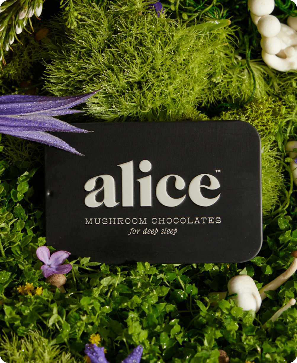 Nightcap — mushroom chocolate supplement for deep sleep