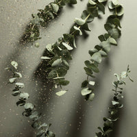 REFILLABLE Eucalyptus Nourishing Pocket Sanitizer