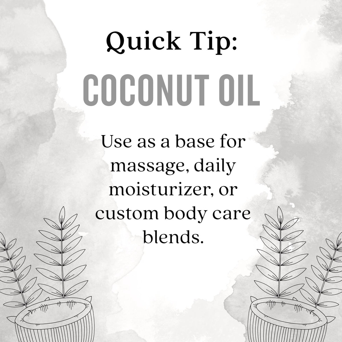 Coconut Oil, Fractionated Moisturizing Skin Care Oil 4 Fl Oz