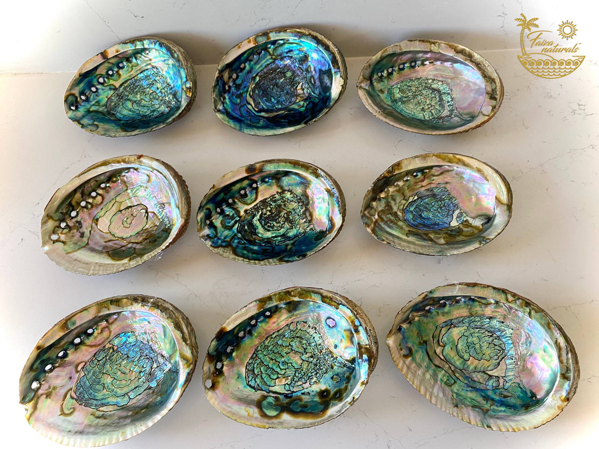 Abalone Shell Smudge Bowl (Large)