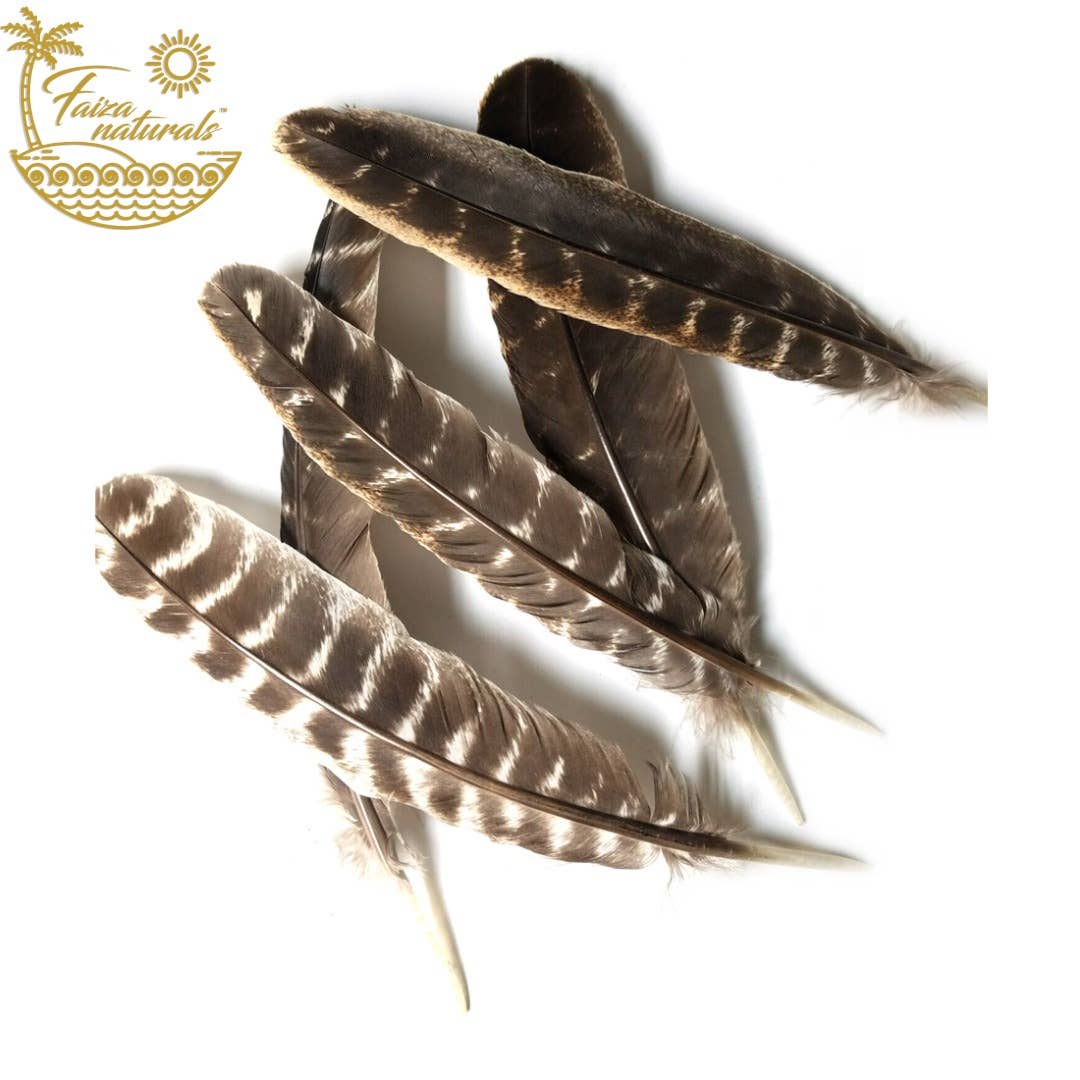 Turkey Feather for Smudging