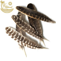 Turkey Feather for Smudging