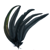 Black Feather for Smudging