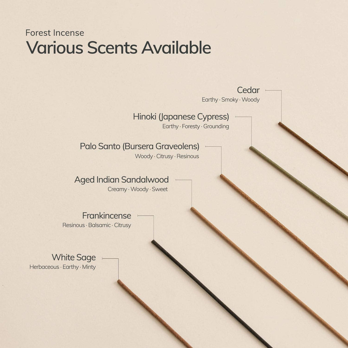 Hinoki Japanese Incense Set l 30 sticks