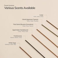 Hinoki Japanese Incense Set l 30 sticks