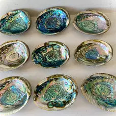 Abalone Shell Smudge Rest