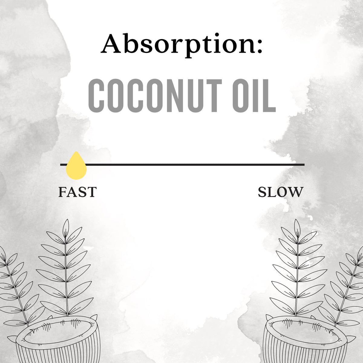 Coconut Oil, Fractionated Moisturizing Skin Care Oil 4 Fl Oz
